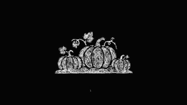 Sketch pumpkin patch icon animation - smooth progressive reveal