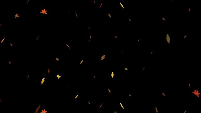 Falling autumn leaves on black background. 2d animation