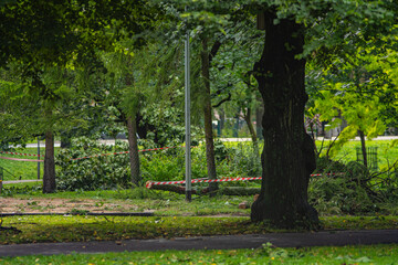 fallen trees and storm damage in riga after storm priska © Boriss