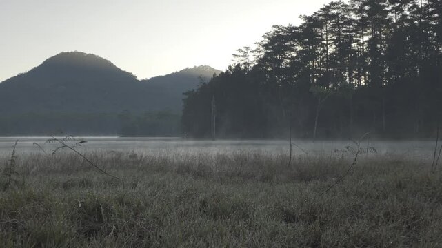 Aerial drone view of a fisherman rowing across Tuyen Lam Lake at sunrise near Suoi Tia in Xuan Huong, Da Lat, Vietnam, surrounded by peaceful pine forests.