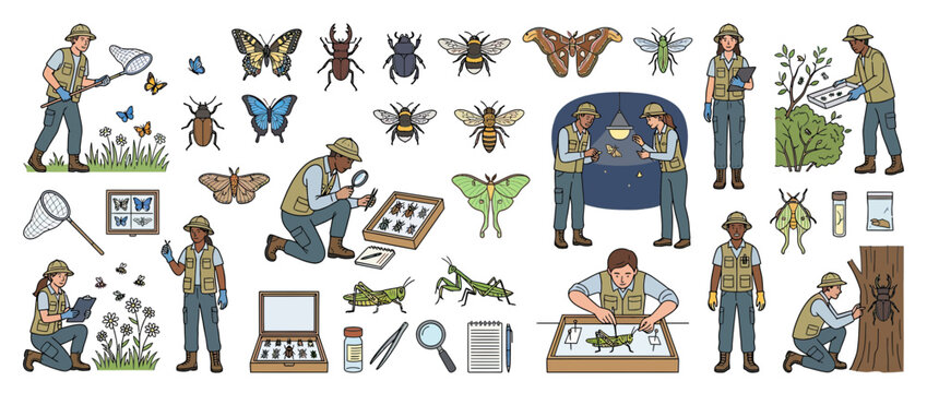 Entomologists studying insects with nets and magnifying glasses