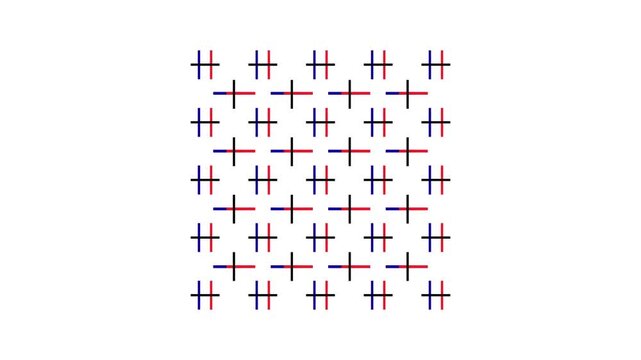 Animated lines pattern video on a white background