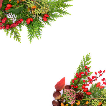 Autumn Fall season leaves, red berry fruit background border on white. Seasonal vibrant colors, harvest symbol, Samhain celtic festival floral arrangement.