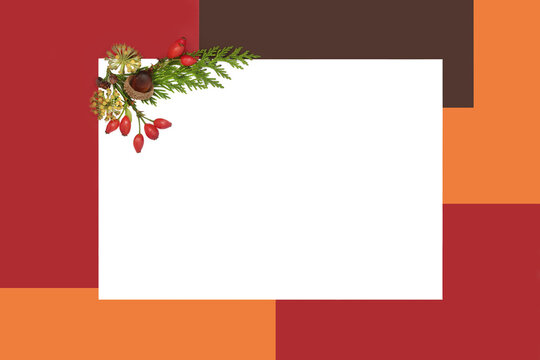 Fall Autumn foliage and berry geometric design. Minimal abstract vivid nature design for Samhain, warm tones on red, orange, brown, cream background.