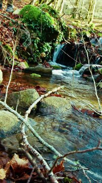 Flowing Water in Autumn Season in the Mountains Small Fresh Stream