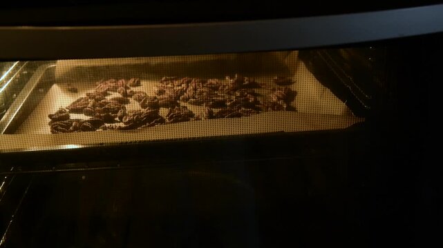 Person placing a tray of raw pecans into a hot oven to roast for a healthy snack or recipe preparation.