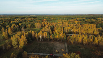Sunlight shining on a colorful autumn forest landscape © AlexGo