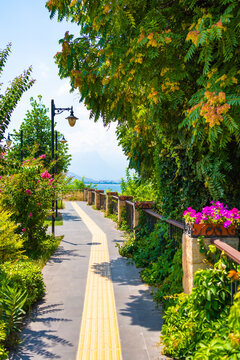 Beautiful park in the Old Town in Antalya, Turkey.. Green trees and blooming pink flowers in the park