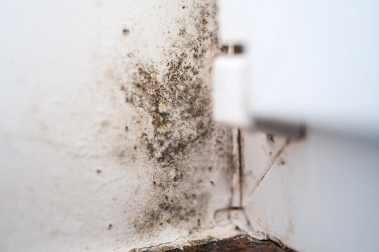 Mold growing on a wall due to poor home ventilation