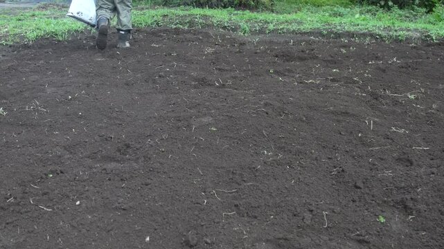 畑に石灰を撒く男性