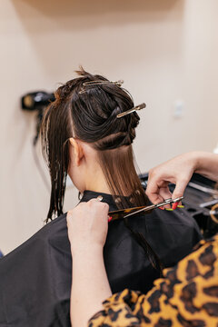 Hairdresser trimming split ends of wet brown hair using scissors and comb with sectioning clips during haircut.