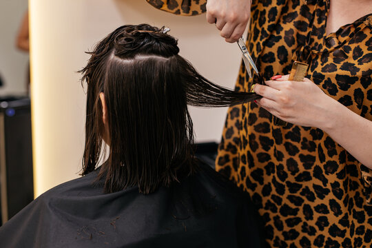 Hairdresser trimming split ends of wet brown hair using scissors and comb with sectioning clips during haircut.