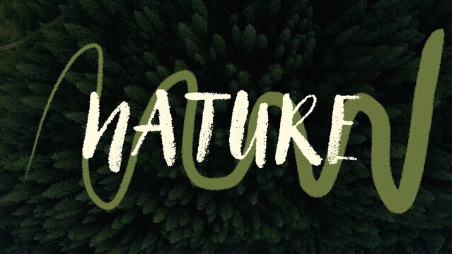 Hand Drawn Brush Text Animation