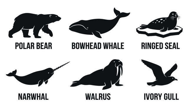 black and white silhouette vector set of traditional greenland sea animlas