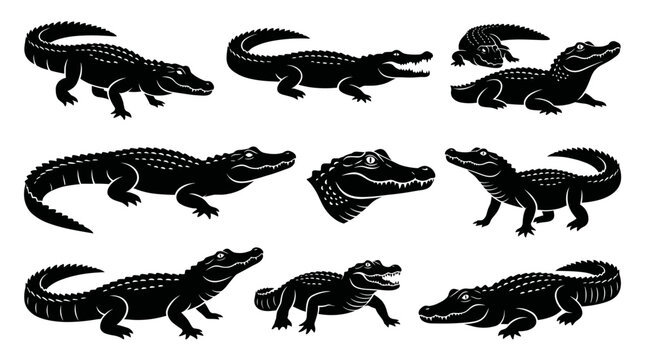 black and white silhouette vector set of Caiman