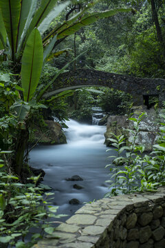 View of the stone bridge over the Cupatitzio River in Parque Nacional Barranca del Cupatitzio, surrounded by lush tropical vegetation and flowing water in Uruapan, Michoacan, Mexico.