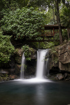 View of the waterfall at Parque Nacional Barranca del Cupatitzio surrounded by lush green foliage and a wooden bridge in Uruapan, Michoacan, Mexico.