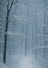 Fototapeta premium Serene snowy forest path
