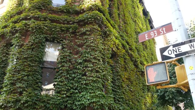 New York City townhouse buildings, brownstone row houses corner in Manhattan, United States of America. Classic building, residential district street. Rowhouse townhome. Green wall garden.
