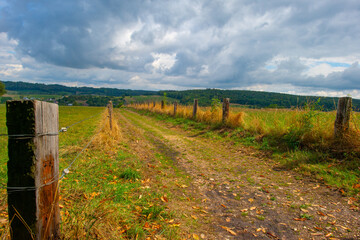 Fototapeta premium Fields and trees in a green hilly grassy landscape under a blue cloudy sky in sunlight in summer, Voeren, Limburg, Belgium, August, 2026
