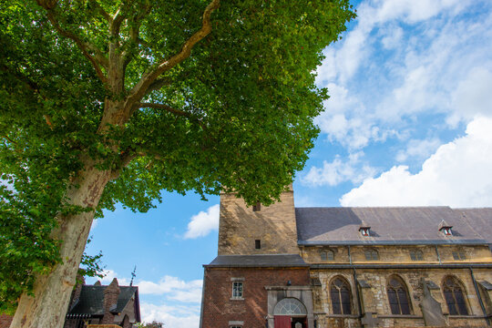 Trees and an old church in sunlight and shadow in green woodland in summer, Voeren, Limburg, Belgium, August, 2026