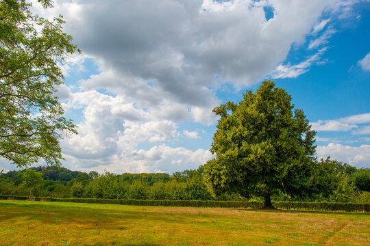 Fields and trees in a green hilly grassy landscape under a blue cloudy sky in sunlight in summer, Voeren, Limburg, Belgium, August, 2026