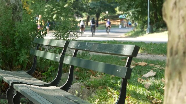 Wooden bench in Central Park of New York City, United States. People running on street in public park of Manhattan, USA. Runners on summer day in NYC. Sport and healthy lifestyle recreational activity