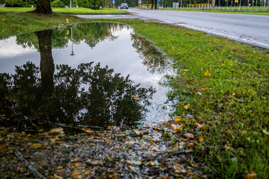 Large Roadside Puddle Reflecting Trees After Heavy Autumn Rain