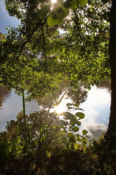 Szene am Dorfteich