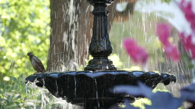 New York Manhattan Midtown Madison Square Park, United States of America. Birds bathing in fountain water splashes. Summer greenery on 5 fifth avenue and Broadway corner, Flatiron district city life.