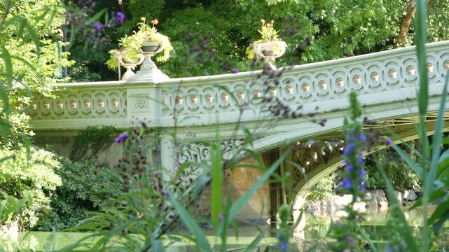 New York City Central Park nature oasis. Bow Bridge and lake in summer day, United States. Pond water and greenery in morning light. Autumn fall leaves and Manhattan architecture landmark of NYC, USA.