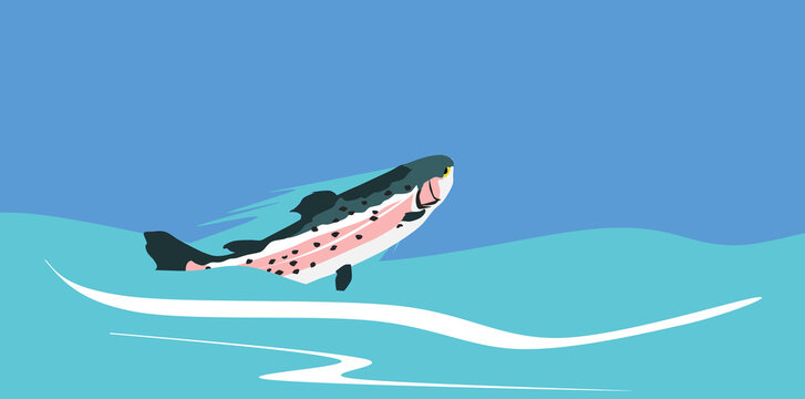  釣りのイラスト