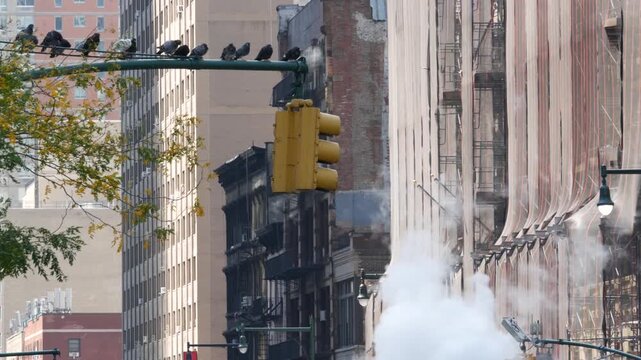 New York City Midtown urban tall building architecture, Manhattan straight street, 8 eights avenue, United States of America. Skyscraper towers, pigeon birds, USA. Hot steam smoke vapor. Traffic light