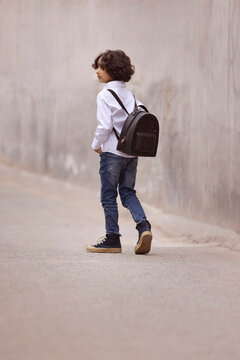 Back view of little school boy walking down the street to school