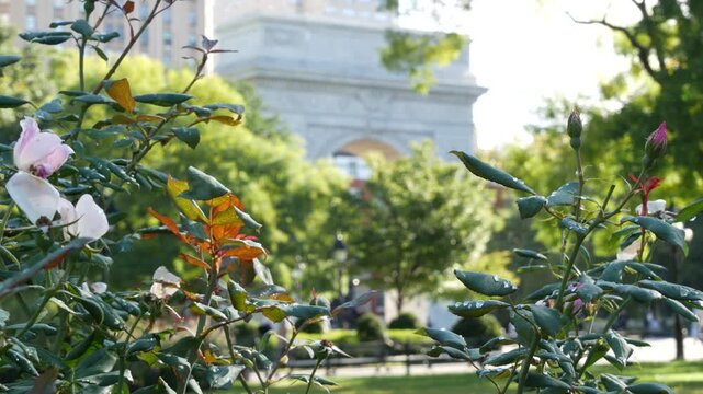 New York City Manhattan Washington Square Park arch, United States. Marble historic monument Greenwich Village. 5 fifth avenue triumphal arch. Autumn fall garden greenery. George Washington memorial.
