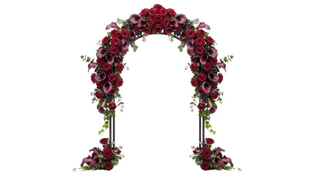 Wedding arch decorated with deep red roses and dark purple calla lilies on a white background, isolated on a, transparent background