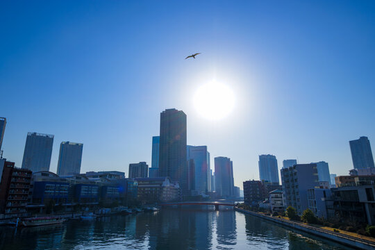 運河の水面に映る高層マンション群と青空の美しい景観