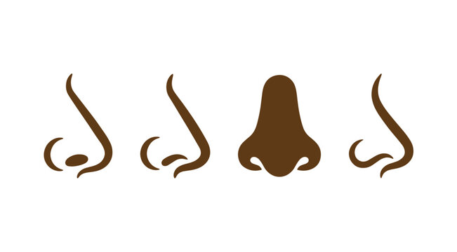 Set of four brown human nose showing different profiles and a front view for medical or aesthetic reference on a white background