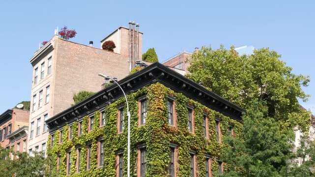 New York City urban residential buildings architecture, Lower Manhattan West village Greenwich street corner, United States of America. Greenwich village, USA. Red brick house. Vine greenery on wall.