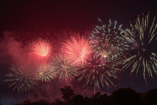View of vibrant fireworks illuminating the night sky over the silhouettes of trees during the independence day celebrations in Lahore, Punjab, Pakistan.