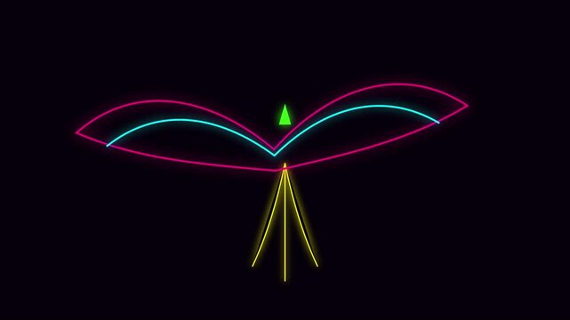 Neon bird animation glowing abstract with dynamic wing motion 4k