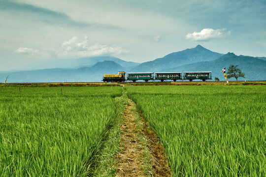 View of a vintage train passing through a lush green rice field with mountains in the background in Bawen, Central Java, Indonesia.
