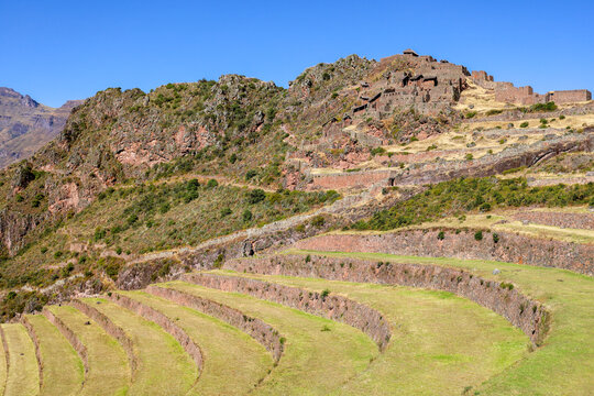 View of the ancient Inca stone terraces and ruins of Pisac set against a rugged mountain landscape under a clear blue sky in Pisac, Cusco, Peru.