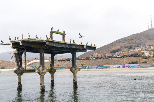 View of the old pier structure in Chancay with cormorants perched on top, overlooking the beach and coastal hills in Chancay, Lima Region, Peru.