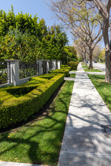 Fototapeta premium Suburban street with houses in the Los Angeles area