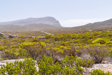 Fototapeta premium Road through hills near Cape of Good Hope