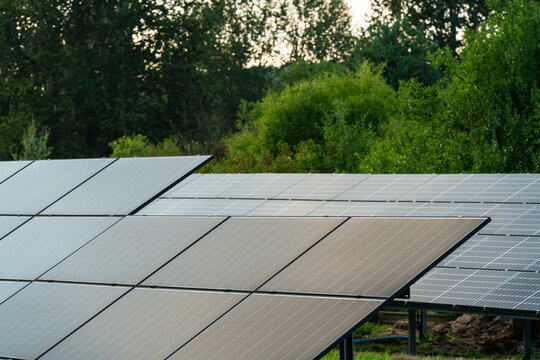 View of solar panels installed in a green area with trees in the background in Dabrowa Gornicza, Silesian Voivodeship, Poland.