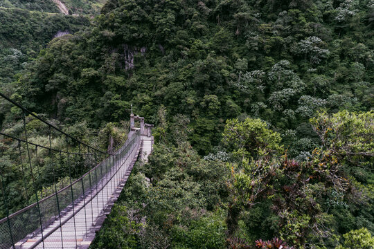 View of the suspension bridge leading into the lush, dense rainforest and mountainous landscape of Banos, Tungurahua, Ecuador.