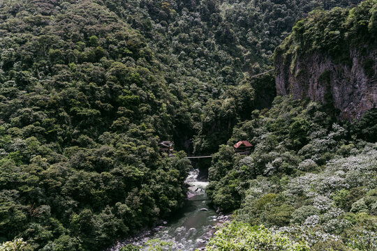 View of a lush green gorge with a river flowing through the dense forest, featuring a small bridge connecting two buildings nestled in the mountainside in Banos, Tungurahua, Ecuador.