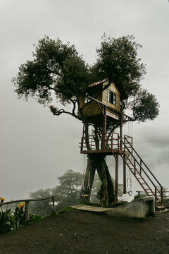 View of the famous Casa del Arbol treehouse with a swing, surrounded by lush foliage and misty clouds in Banos, Tungurahua, Ecuador.